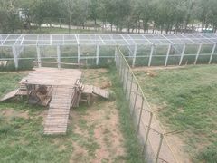 -青藏高原野生动物园