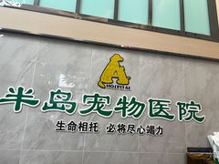 -半岛宠物医院24小时(科华中路店)