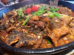 -老板恋上鱼(恒隆广场店)