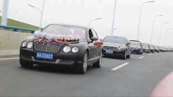 -蚂蚁婚车