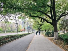-龙湖杭州滨江天街