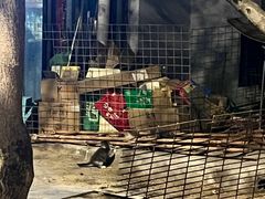 -森林公园(尖草坪区)