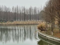 -苏州太湖国家湿地公园