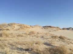 -库伦旗银沙湾旅游景区