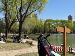 -森林公园(尖草坪区)