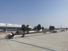 -演武大桥观景平台