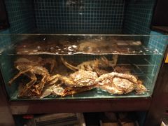 -湘湖大院(越王路店)
