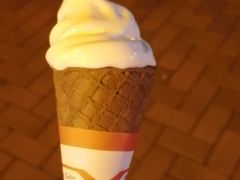 -富豪雪糕车流动点(尖沙咀店)