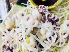 芥末海菊花-贞姨美食·老字号海鲜大排档