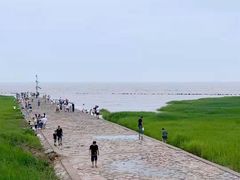 -南汇嘴观海公园
