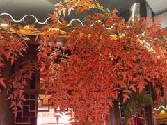 -肖记公安牛肉鱼杂馆· 省级非物质文化遗产(仁和路店)