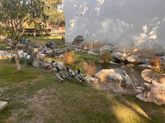 -一尺花园(安和花园店)