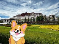 -布达拉宫