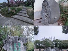 -莘庄公园