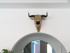-黄牛肉馆·皖南土菜