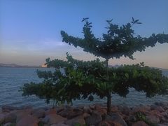 -深圳湾公园(南山区)