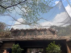 -燕塞湖鸟语林景区
