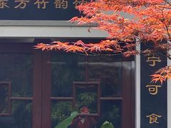 -望江楼公园