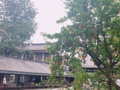 -龙潭水乡