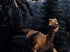 -辽宁古生物博物馆