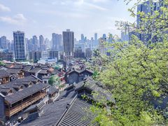 -重庆十八梯传统风貌区