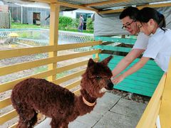 -美家乐农庄·露营·团建(大治路店)