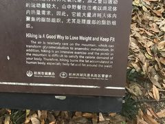 -杭州黄龙洞
