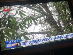 -金色印象·HiFi影音·按摩足疗(龙腾路店)