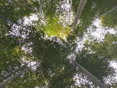 -同里国家湿地公园