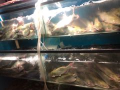 -老板恋上鱼(高新万达店)