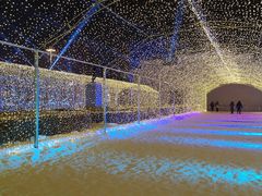 -长春世界雕塑园冰雪艺术天地