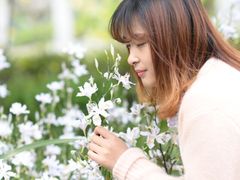 -重庆彩云湖湿地公园