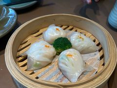 -岭南站NOVA