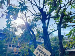 -美的鹭湖森林度假区