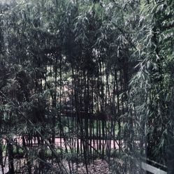 点击看大图 -馨月汇·一悦馨香月子中心(前滩店)