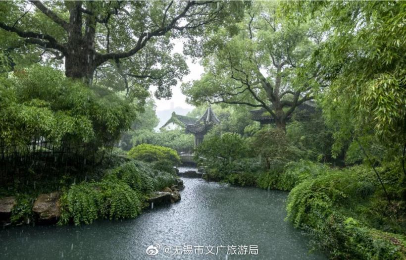 帘外雨潺潺,江南已进入梅雨季,雨中美景,好似入画.