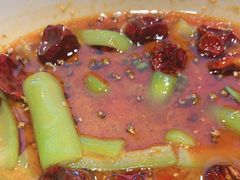 -杨氏青龙虾·羊蝎子(金盛路总店)