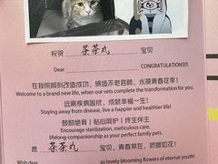 -美联众合动物医院·24h转诊中心