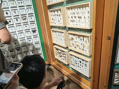 -中国湿地博物馆