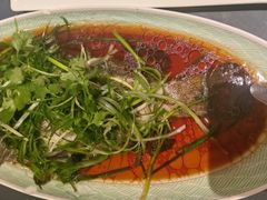 -潮江春(铜锣湾广场店)