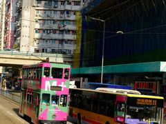 -Big Bus Tours 敞篷观光巴士