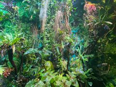 -太平洋海底世界