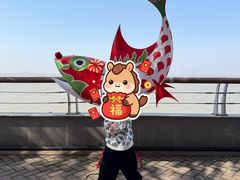 -巢湖姥山岛