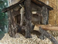 -西霞口神雕山野生动物世界