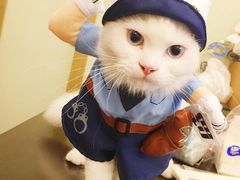 -民国红公馆·秦淮八艳(夫子庙店)