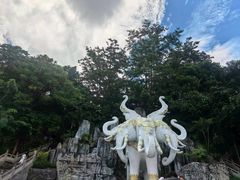 -西双版纳原始森林公园