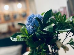 -懒鱼时光馆(沙坪坝店)