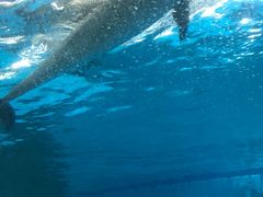 -波塞冬旅游度假区