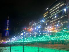-大通公园