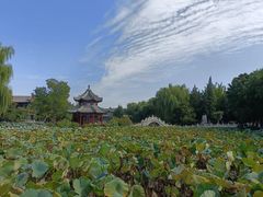-保定直隶总督署博物馆